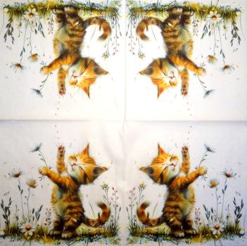 299 Katzen - 3-lagig